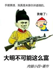 大明不可能这么富